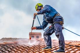 Why Employ Roof Cleaning Professionals?